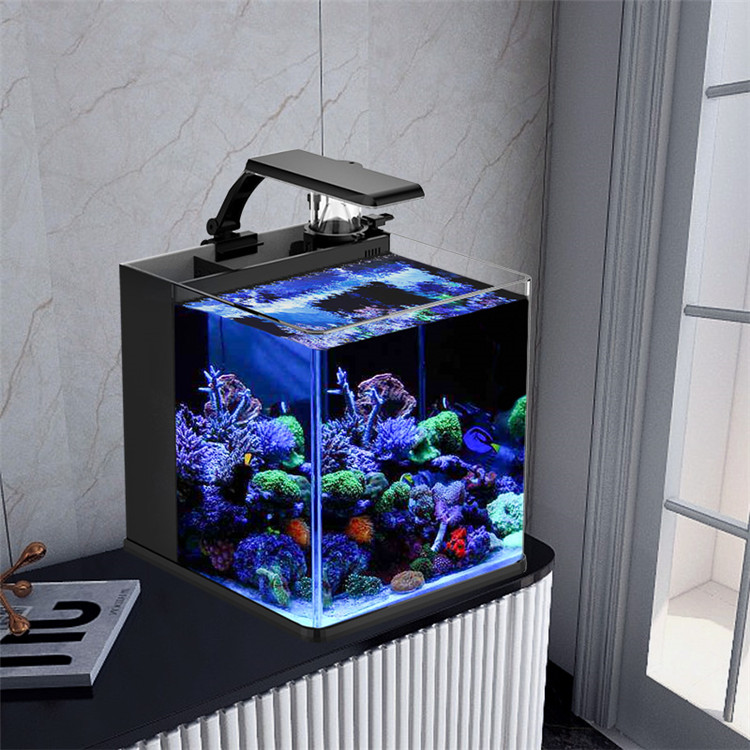 Marine Aquarium In Clearwater - Ultra Clear Glass Mini Salt Water