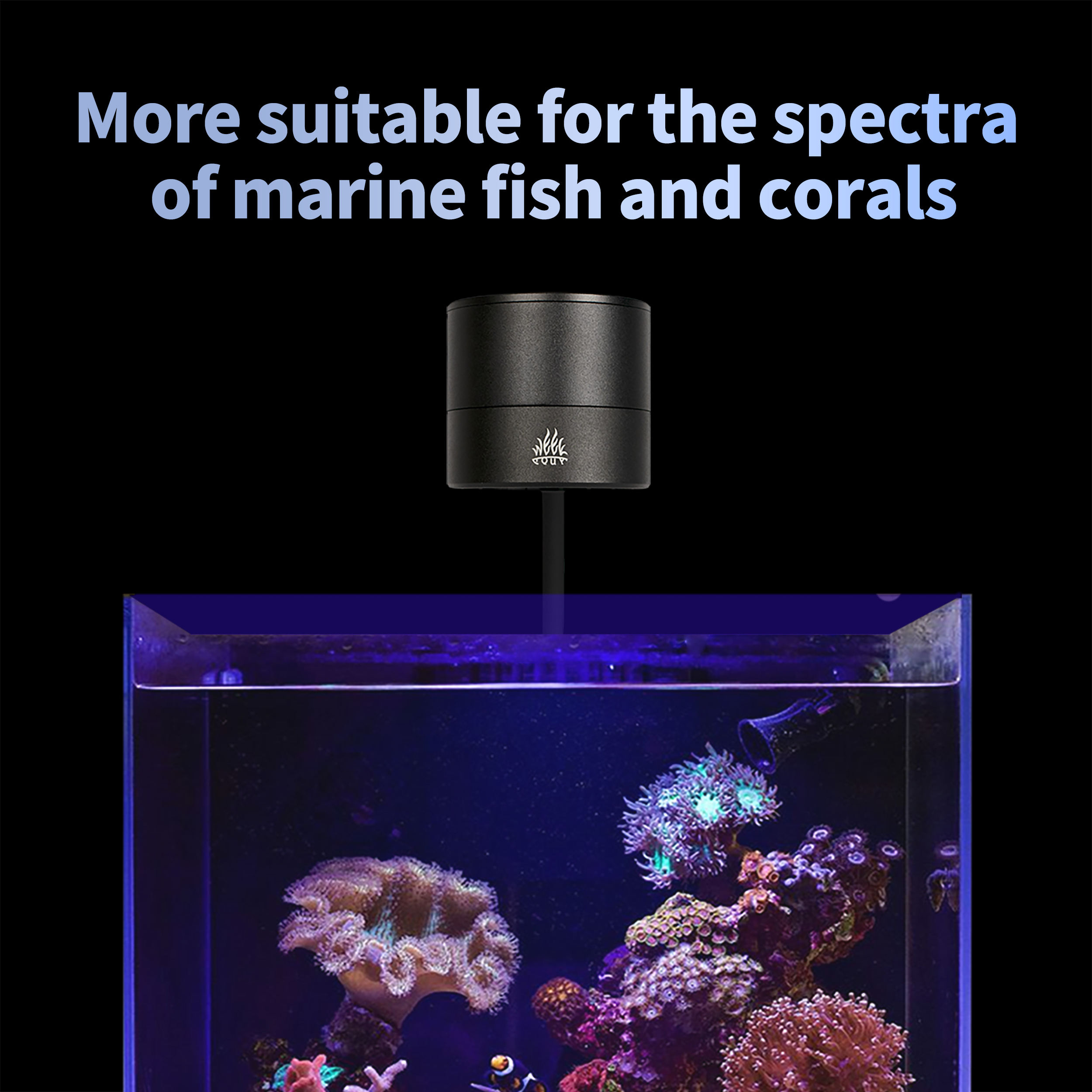 T95 Sea 50W Full Spectrum Mari - Marine Aquarium Timing recension och pris
