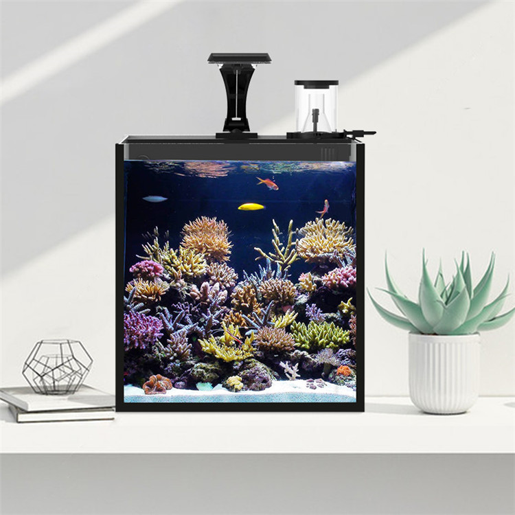 skynuo Ultra Clear Glass Mini  - Marine Aquarium In Clearwater recension och pris