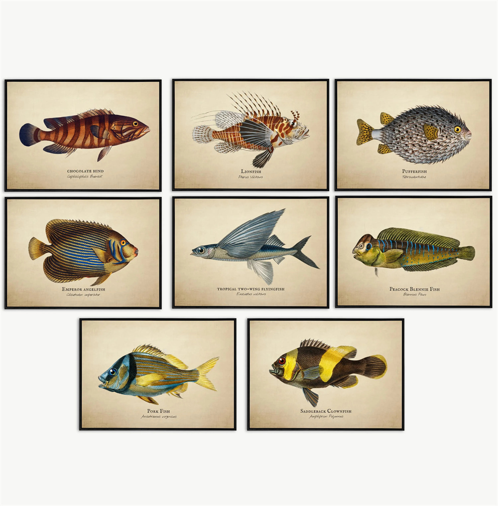 Vintage Pictures Tropical Fish - Marine Life Aquariums recension och pris