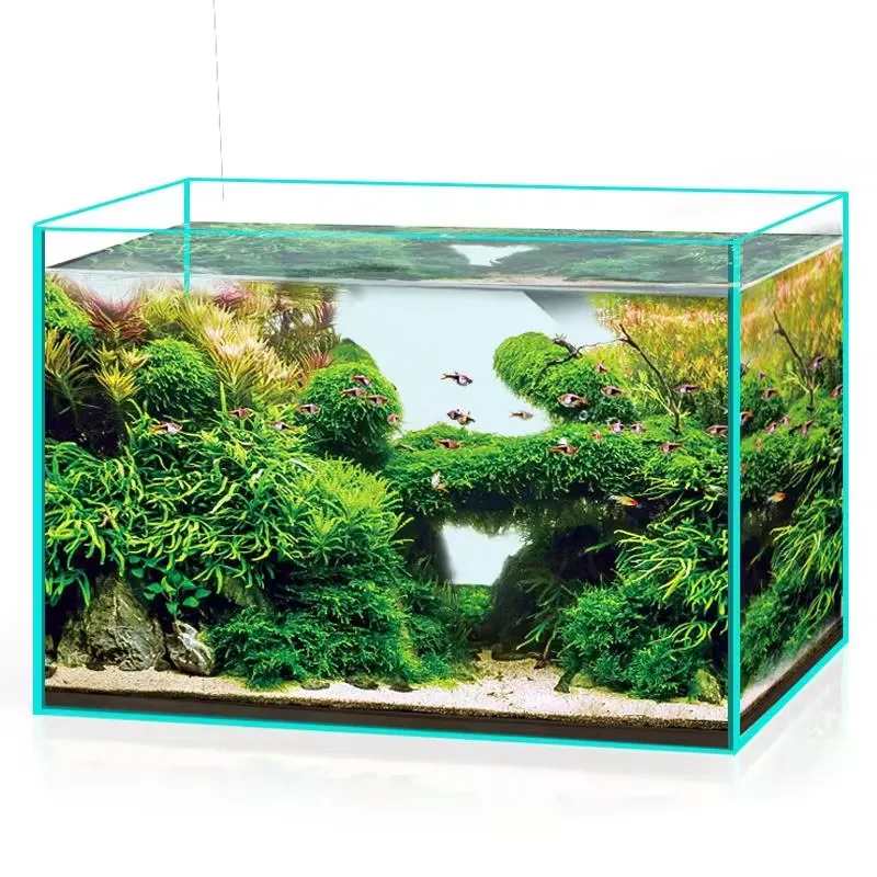 Ultra Clear Glass Aquarium Fis - Marine Aquarium In Clearwater recension och pris