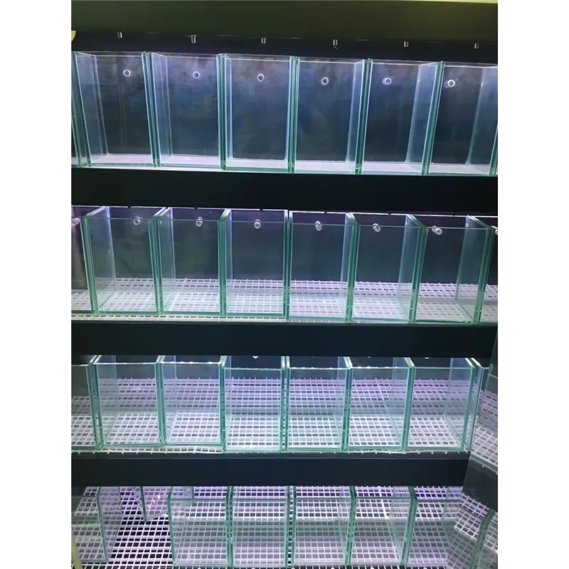 Ultra Clear Glass Aquarium Fis - Marine Aquarium In Clearwater recension och pris