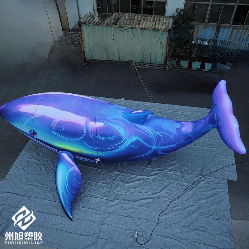 Inflatable blue whale, used as - Marine Life Aquariums recension och pris