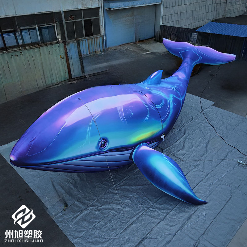 Inflatable blue whale, used as - Marine Life Aquariums recension och pris