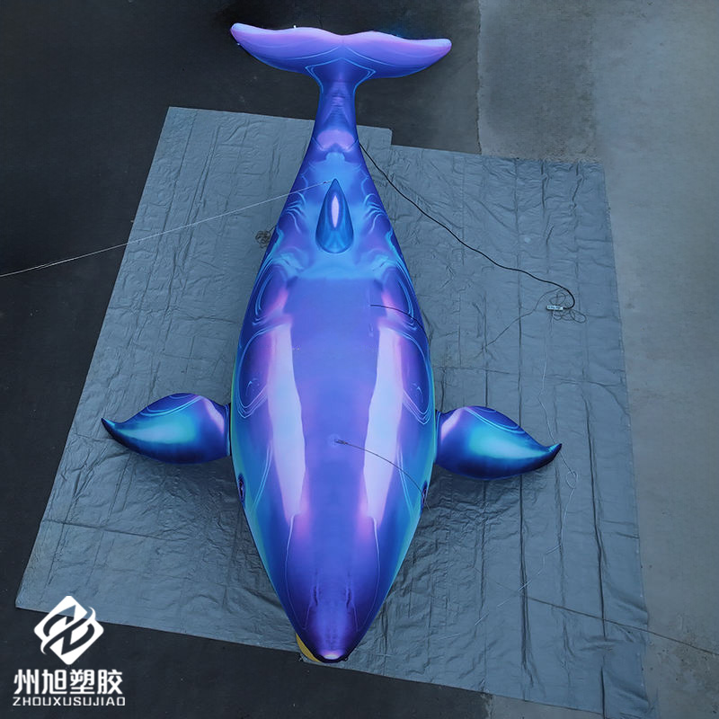Inflatable blue whale, used as - Marine Life Aquariums recension och pris