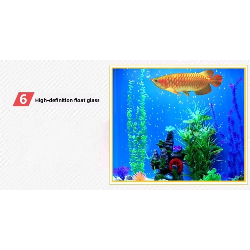 Marine Large 200 Gallon Fish A - Aquarium Marine Fish For Sale recension och pris