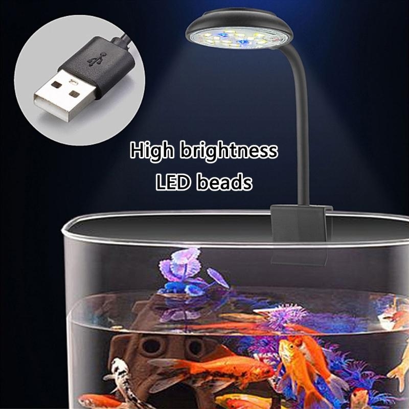 Adjusting Brightness LED Aquar - Marine Life Aquariums recension och pris