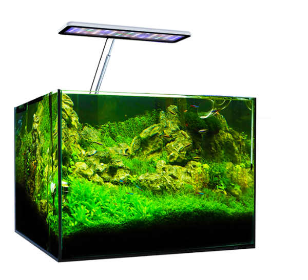 MicMol Aqua CC Aquarium LED Li - Aqua Marine Tank recension och pris