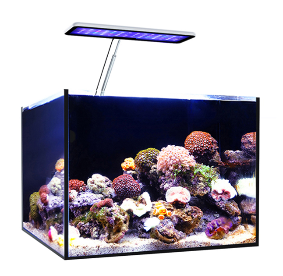 MicMol Aqua CC Aquarium LED Li - Aqua Marine Tank recension och pris