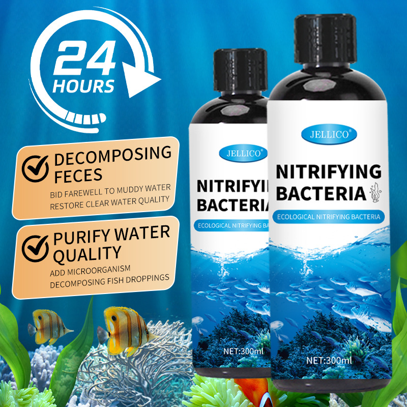 300ml Nitrifying Bacteria Aqua - Marine Aquarium In Clearwater recension och pris