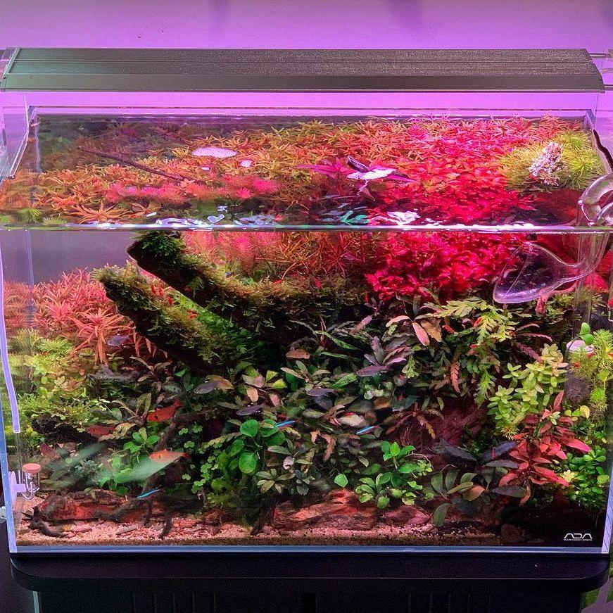 WEEK AQUA Aquarium Led Vivid L - Aqua Marine Tank recension och pris