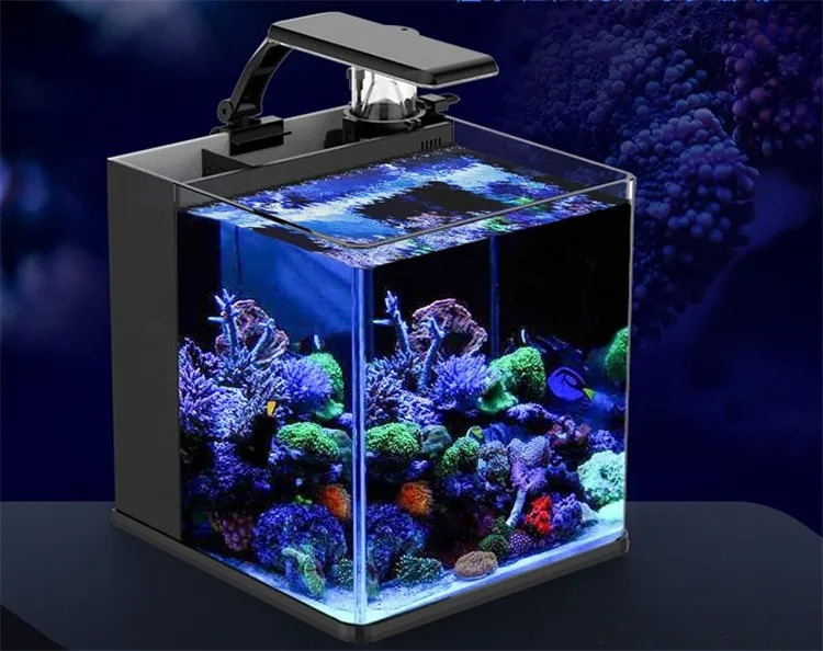 Ultra Clear Glass Mini Salt Wa - Marine Aquarium In Clearwater recension och pris