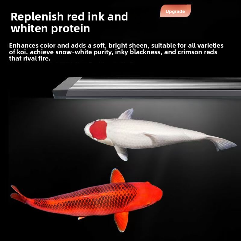 LED Aquarium Light for Fish Ta - Marine Aquarium In Clearwater recension och pris